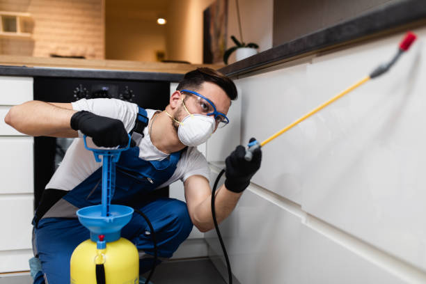 Best Pest Control Near Me in Bethel Island, CA
