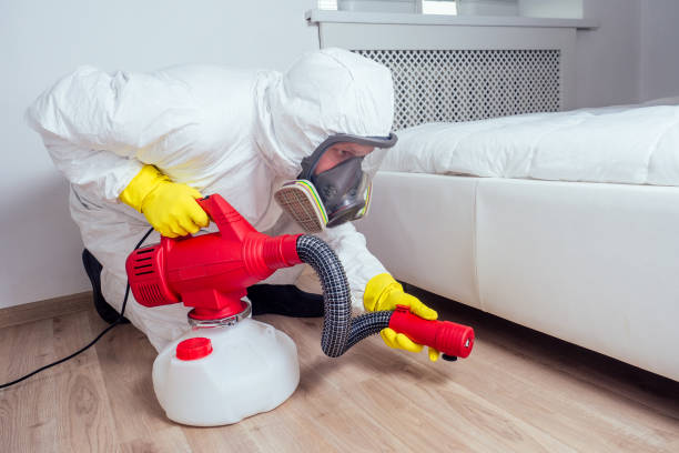 Best Flea Control Services  in Bethel Island, CA